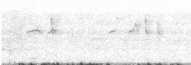 Varied Sittella (White-winged) - ML487662791