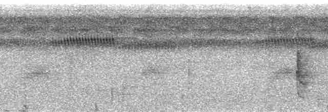 Корайский крапивник - ML48767