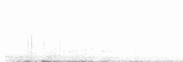 White-faced Ibis - ML487681701
