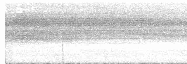 Gözlüklü Yerçavuşu (perspicillatus) - ML487685481