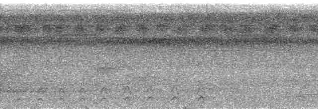 Серохохлая чубатка - ML48769