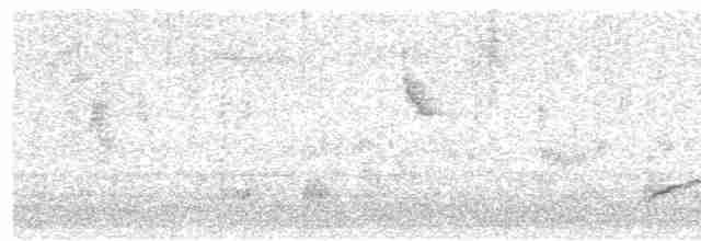 Spotless Starling - ML487720651