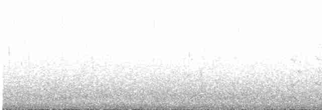 svartvingespove - ML487730171