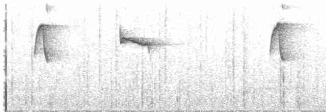 kolibřík šupinkohrdlý - ML487734501