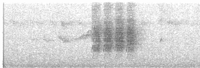 Kestane Karınlı Lacivert Öfonya - ML487735871