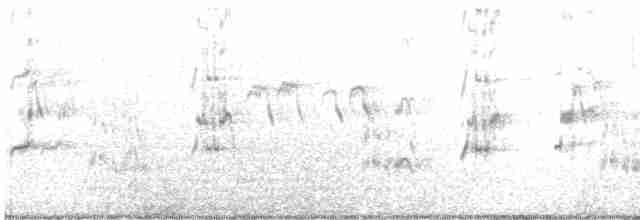 Крячок рябодзьобий - ML487815841