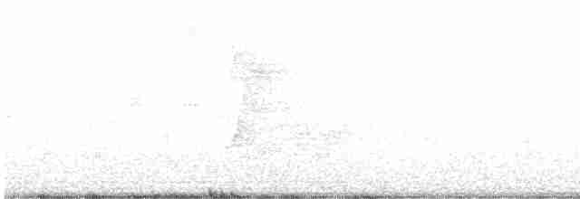 Spot-breasted Wren - ML487853881