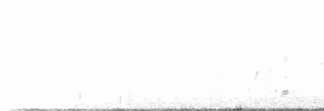Australian Reed Warbler - ML487967191