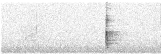 strakapoud bělohřbetý - ML487975741