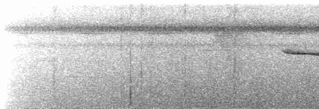 Tinamou de Berlepsch - ML488022241