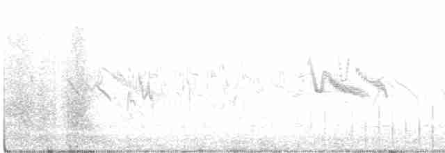 Травяной жаворонок (apiata) - ML488031351