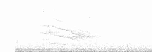 Тиранчик-тонкодзьоб південний - ML488079951