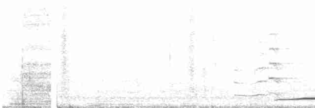 Сова сіра - ML488123561