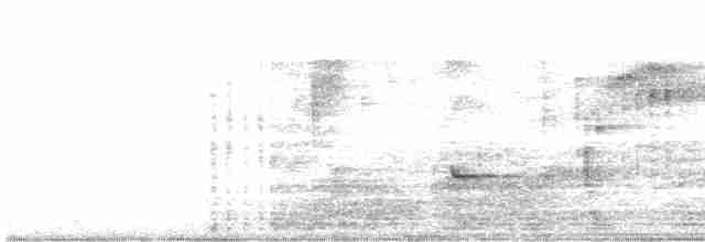 Şerit Karınlı Çıtkuşu - ML488127411