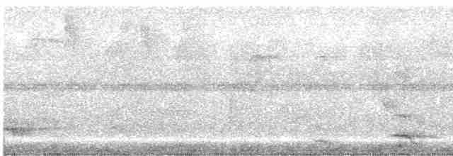 trogon zelenohřbetý - ML488156331