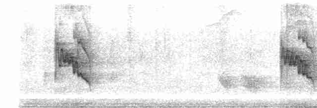 svartkroneløvgransker - ML488176561