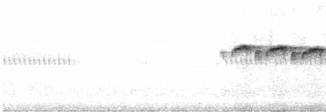 Damalı Karıncakuşu - ML488177651