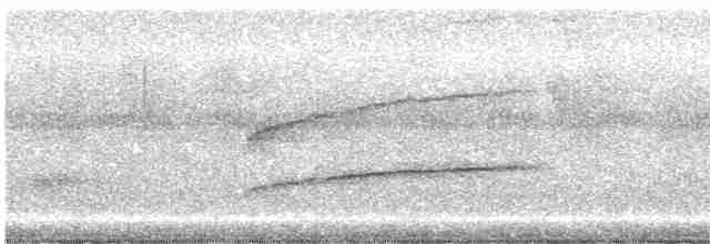 Сероголовый москитеро - ML488183821