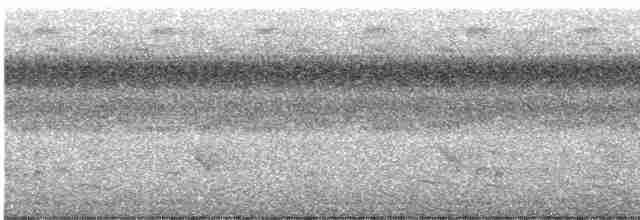 Karolina Çıtkuşu - ML488202911