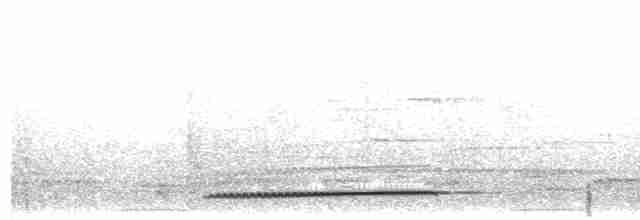 Красногрудая лесная куропатка - ML488282971