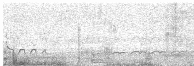 Common Redshank - ML488302631