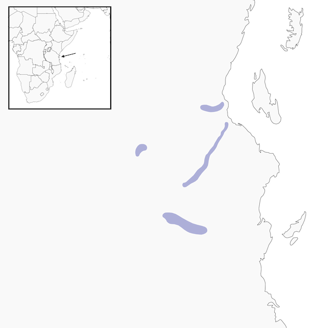 Distribution of the Ruvu Weaver - Ruvu Weaver - 