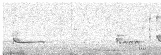 Common Redshank - ML488313351