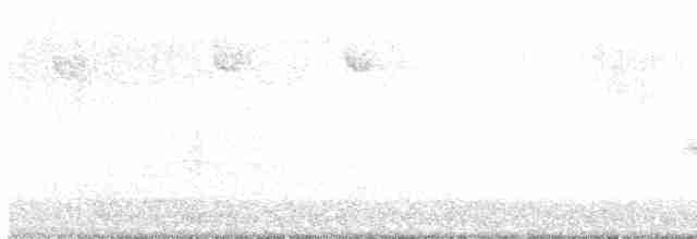 Gray-cheeked Thrush - ML488357011