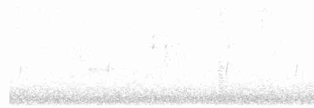 Kara Sırtlı Martı (graellsii) - ML488399041
