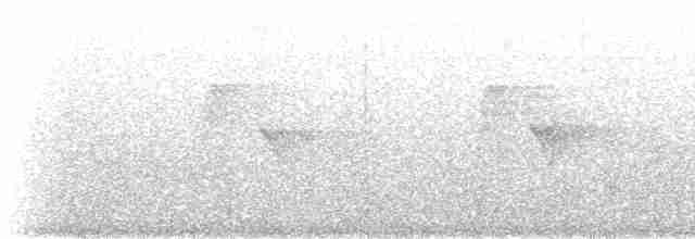 Black-crowned Antshrike - ML488433401