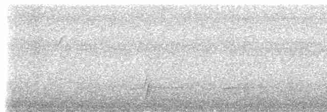 brunkinnskogtrost (ustulatus gr.) - ML488459851