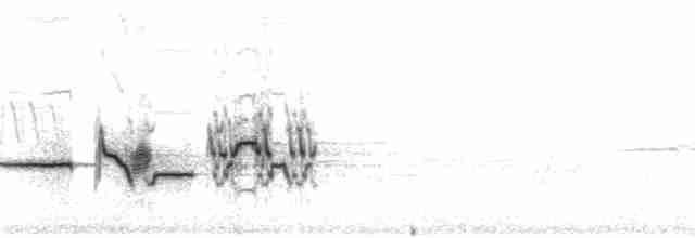 Дрізд-короткодзьоб плямистоволий - ML48852
