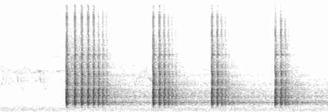Дятел-смоктун сосновий - ML48854