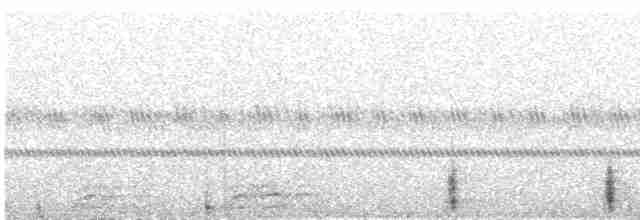Rothals-Nachtschwalbe - ML488551121