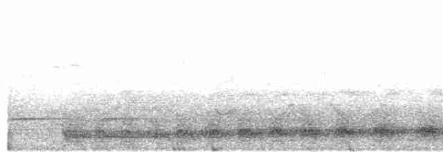 Серый павлиний фазан - ML488551311