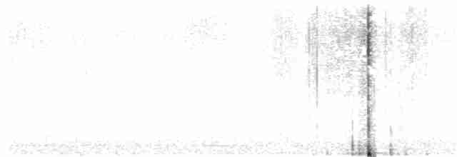 Татаупа сірогрудий - ML48855431