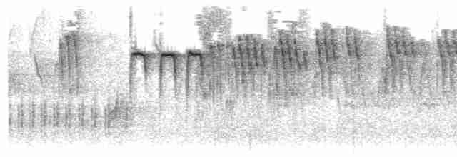 Gri Tepeli Baştankara - ML488555471