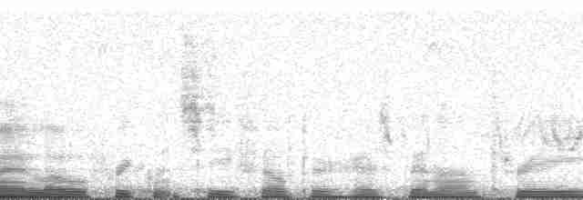 Дятел-смоктун сосновий - ML48857