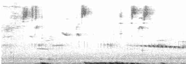 Fan-tailed Cuckoo - ML488571141