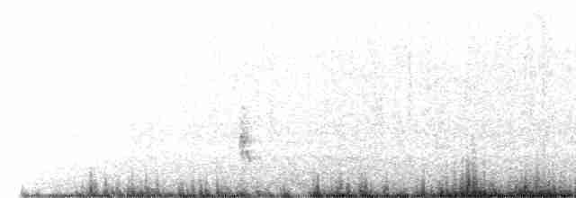 Tawny Grassbird - ML488572131
