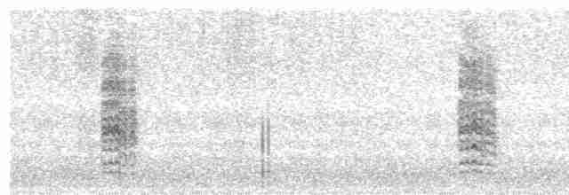 Eurasian Reed Warbler - ML488573301