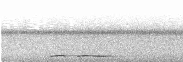 Halmahera Pittası (morotaiensis) - ML488578061