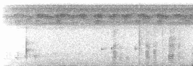 Гвианский скальный петушок - ML488596971