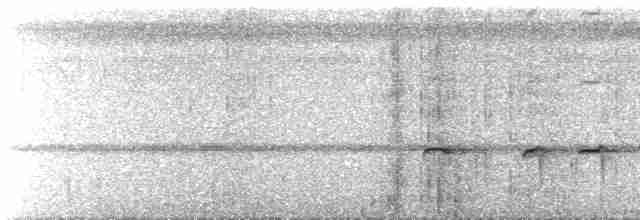 Strichelschulter-Ameisenschnäpper - ML488598191