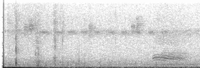 Arctic Warbler - ML488612461