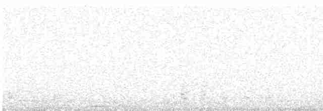 Black-crowned Night-Heron - ML488683681