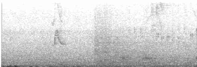 Black-crowned Night-Heron - ML488755621