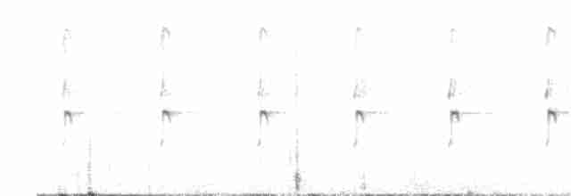 Улит-отшельник - ML488787581