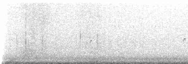 Common Tern - ML488809791
