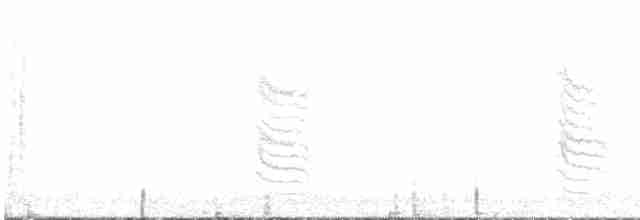Пересмішник сірий - ML488814811